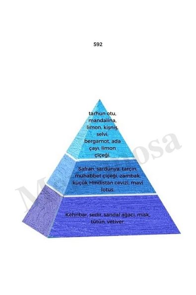 592 Erkek Parfüm Edp 50 ml Fresh mnms50592 - Resim 2