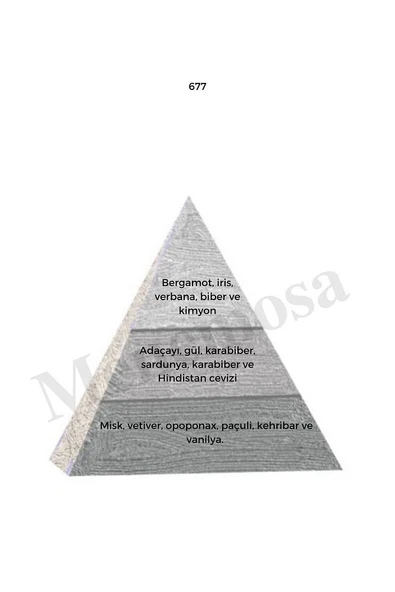 677 Erkek Parfüm Edp 50 ml Woody - Mnms50677 - Resim 2