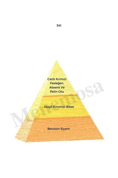 541 Erkek Parfüm Edp 50 ml Oriental - Mnms50541 - Resim 2