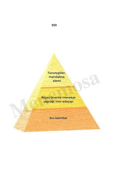 559 Erkek Parfüm Edp 50 ml Oriental - Mnms50559 - Resim 2