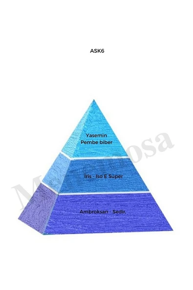 No: 199 + Ask6 Unisex / Erkek Parfüm 50 ml Edp Oriental / Fresh - Mnms50no199Ask6 - Resim 3