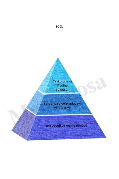 509b Erkek Parfüm Edp 50 ml Fresh - Mnms50509b - Resim 2