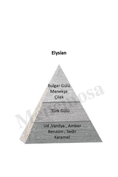 Niche Paradise Edition ELYSİAN Unisex Extrait De perfume 75 ml Woody - Mnms75elysıan - 2