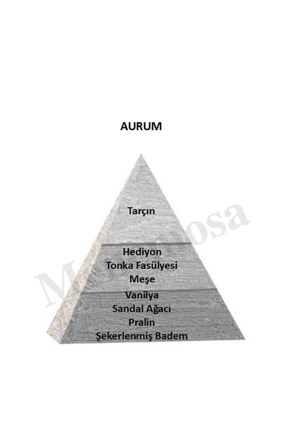 Niche Paradise Edition AURUM Unisex Extrait De perfume 75 ml Woody - Mnms75aurum - Resim 2