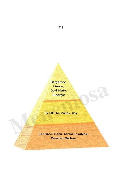 718 Erkek Parfüm Edp 50 ml Oriental mnms50718 - Resim 2