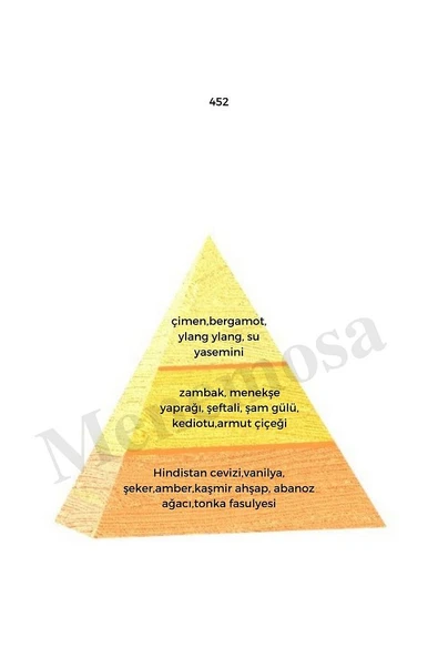 452 Unisex Parfüm Edp 50 ml Oriental - Mnms50452 - Resim 2
