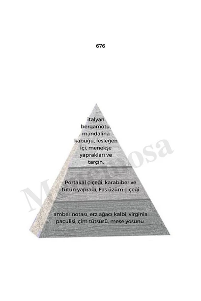 676 Erkek Parfüm Edp 50 ml Woody - Mnms50676 - Resim 2