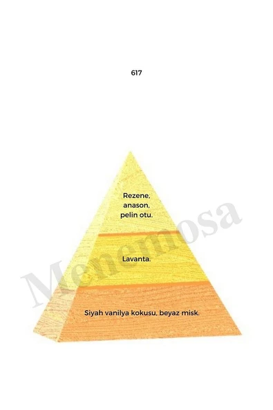 617 Erkek Parfüm Edp 50 ml Oriental - Mnms50617 - Resim 2
