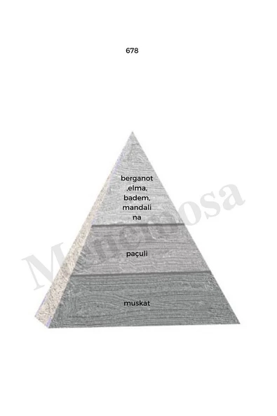678 Erkek Parfüm Edp 50 ml Woody - Mnms50678 - Resim 2