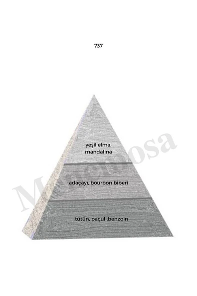 737  Edp 50 ml Woody Erkek Parfüm - Resim 2
