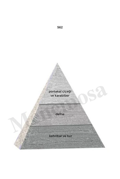 562 Erkek Parfüm Edp 50 ml Woody mnms50562 - Resim 2