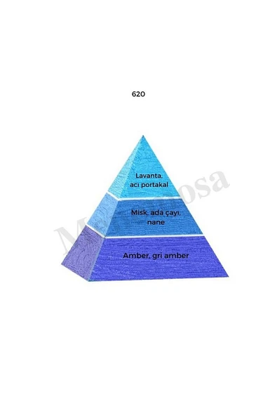 620 Erkek Parfüm Edp 50 Ml Fresh - Resim 2