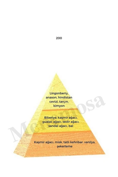 200 Unisex Parfüm Edp 50 ml Oriental - Mnms50200 - Resim 2