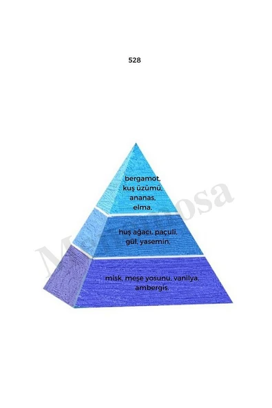 No: 528 + 272 Erkek / Kadın Parfüm Edp 50 ml Fresh / Floral - Mnms50no528272 - Resim 2
