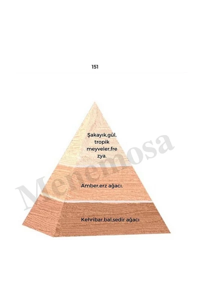 151 Kadın Parfüm Edp 50 ml -mnms50151 - Resim 2
