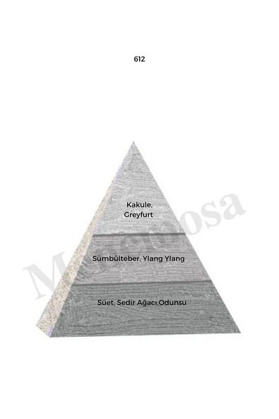 612 Erkek Parfüm Edp 50 ml Woody - Mnms50612 - Resim 2