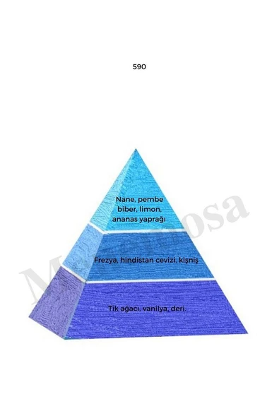 590 Erkek Parfüm Edp 50 Ml Fresh - Resim 2