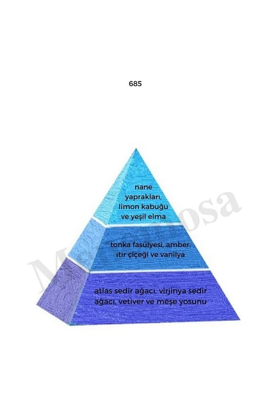 No: 528 + 685 Erkek Parfüm Edp 50 ml Fresh - Mnms50no528685 - Resim 3