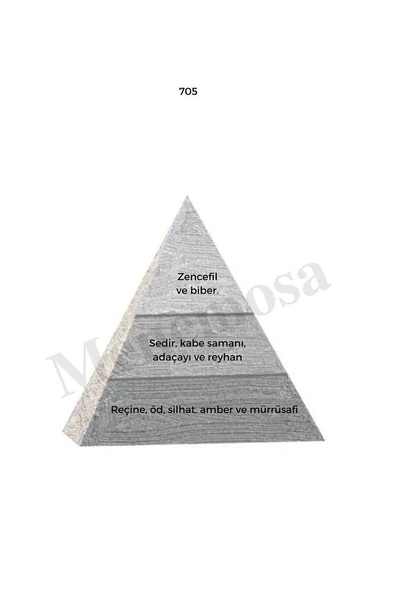 705 Erkek Parfüm Edp 50 ml Woody - Mnms50705 - Resim 2