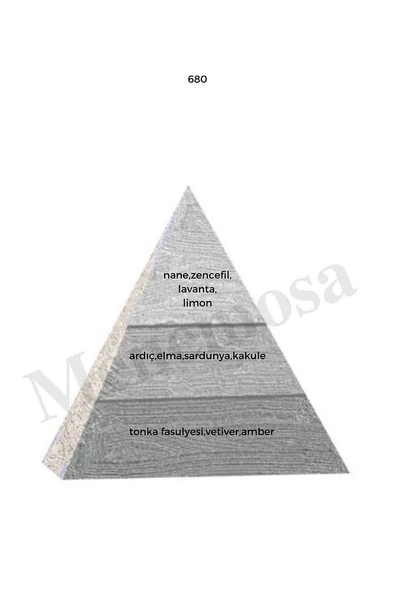 680 Erkek Parfüm Edp 50 ml Woody - Mnms50680 - Resim 2