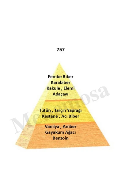 757 Erkek Parfüm Edp 50 ml Oriental - Mnms50757 - Resim 2