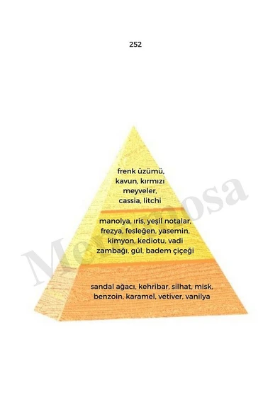 252 Kadın Parfüm Edp 50 ml Oriental - Mnms50252 - Resim 2