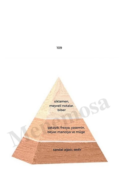109 Kadın Parfüm Edp 50 ml Floral - Mnms50109 - Resim 2
