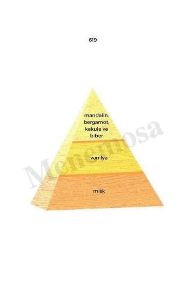 619 Erkek Parfüm Edp 50 ml Oriental - Mnms50619 - Resim 2