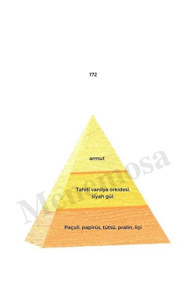 172 Kadın Parfüm Edp 50 ml Oriental - Mnms50172 - Resim 2