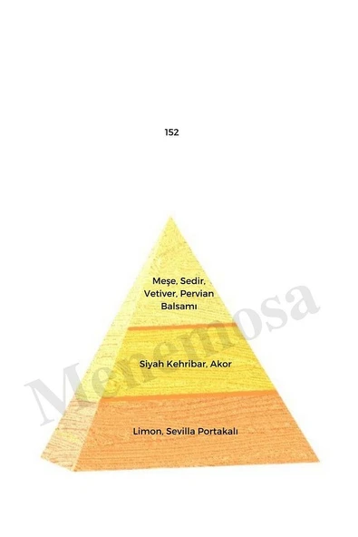 152 Kadın Parfüm Edp 50 ml Oriental - Mnms50152 - Resim 2