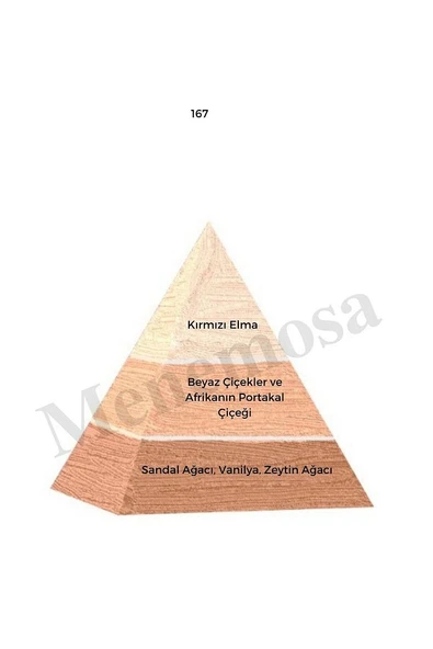 167 Kadın Parfüm Edp 50 ml Floral - Mnms50167 - Resim 2