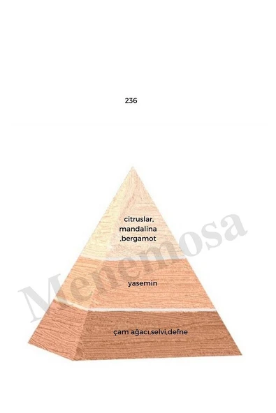 236 Kadın Parfüm Edp 50 ml Floral - Mnms50236 - Resim 2