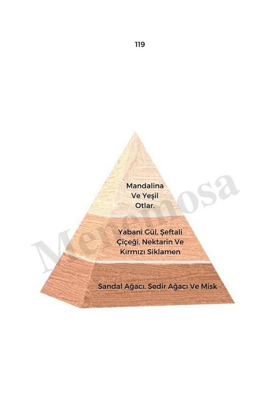 119 Kadın Parfüm Edp 50 ml Floral - Mnms50119 - Resim 2