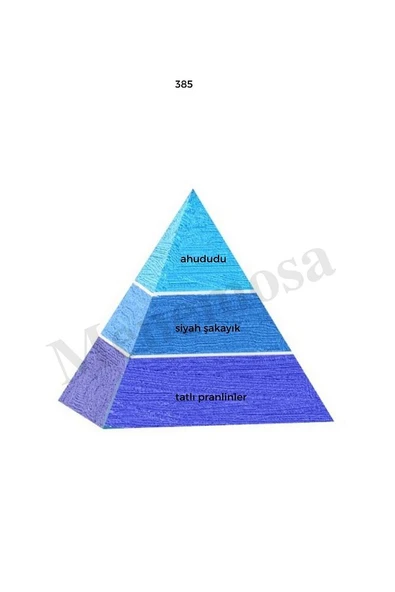 385 Kadın Parfüm Edp 50 ml Fresh - Mnms50385 - Resim 2