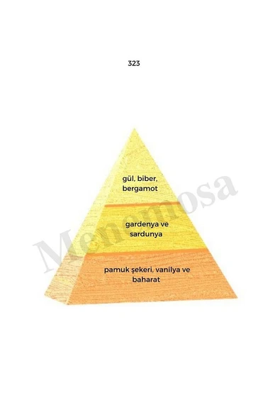 323 Kadın Parfüm Edp 50 ml Oriental - Mnms50323 - Resim 2