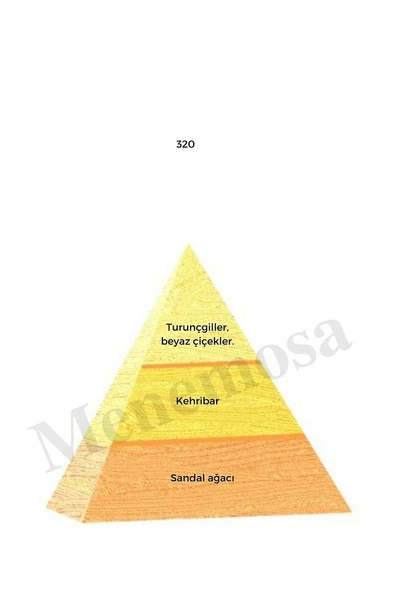 320 Kadın Parfüm Edp 50 ml Oriental - Mnms50320 - Resim 2