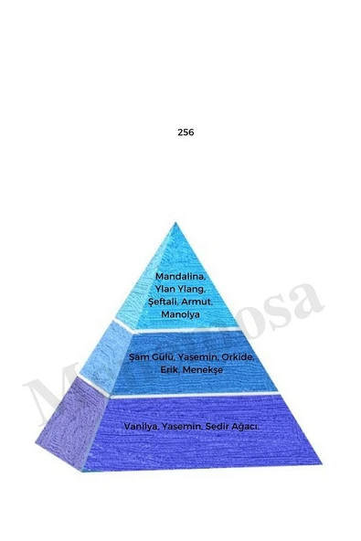 256 Kadın Parfüm Edp 50 ml Fresh - Mnms50256 - Resim 2