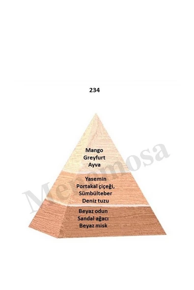 234 Kadın Parfüm Edp 50 ml Floral - Mnms50234 - Resim 2