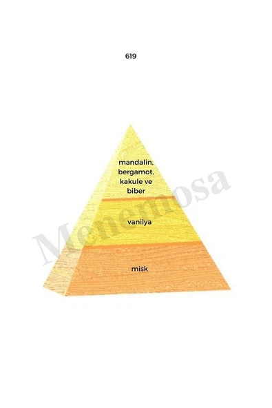 Sevgililer Günü Erkek Promosyon Parfüm 50 ml edp - Resim 2