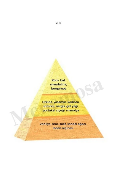 202 Kadın Parfüm Edp 50 ml Oriental - Mnms50202 - 2