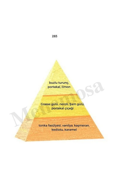 283 Kadın Parfüm Edp 50 ml Oriental - Mnms50283 - Resim 2