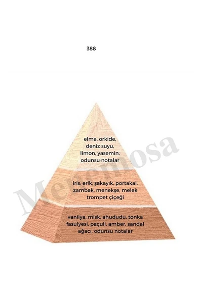 388 Kadın Parfüm Edp 50 ml Floral - Mnms50388 - Resim 2
