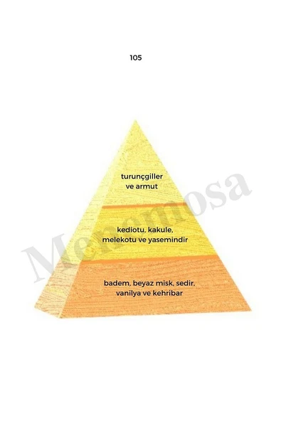 105 Kadın Parfüm Edp 50 ml Oriental - Mnms50105 - Resim 2