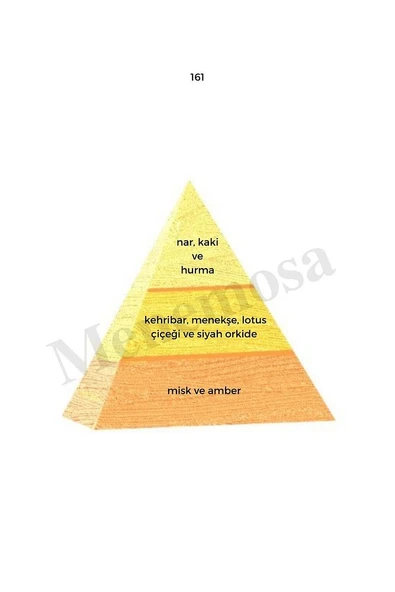 161 Kadın Parfüm Edp 50 ml Oriental - Mnms50161 - Resim 2