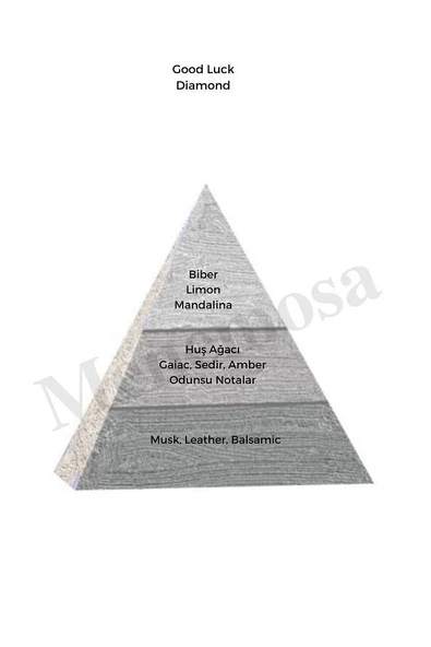 Good Luck Erkek Parfüm Edp 50 ml - Mnms50ge - Resim 2