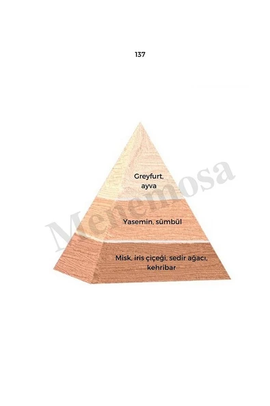 137 Kadın Parfüm Edp 50 ml Floral - Mnms50137 - Resim 2