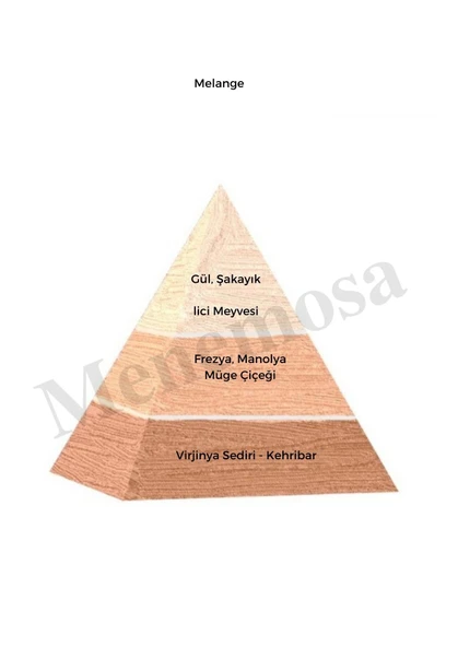 Melange Kadın Parfüm Edp 50 ml - Mnms502mk - Resim 2