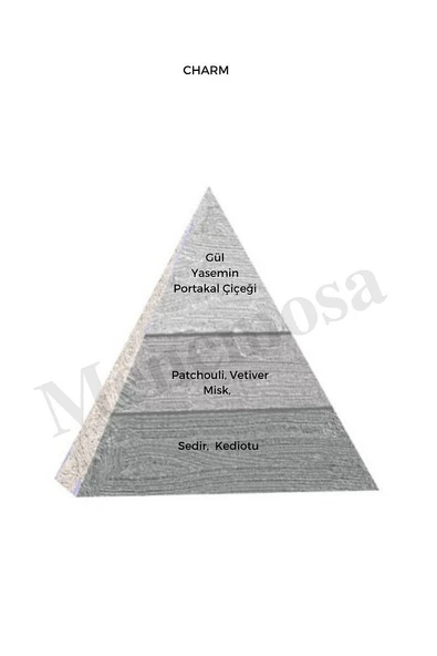 Charm Unisex Parfüm Edp 50 ml Exclusive - Mnms50chr - Resim 2