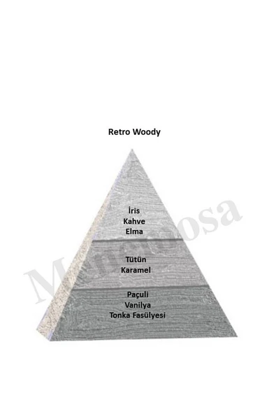 Niche Red Retro Woody Unisex Extrait De Perfume 100 ml - Resim 2