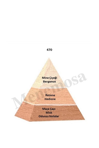 470 Unisex Parfüm Edp 50 ml Floral - Mnms50470 - Resim 2